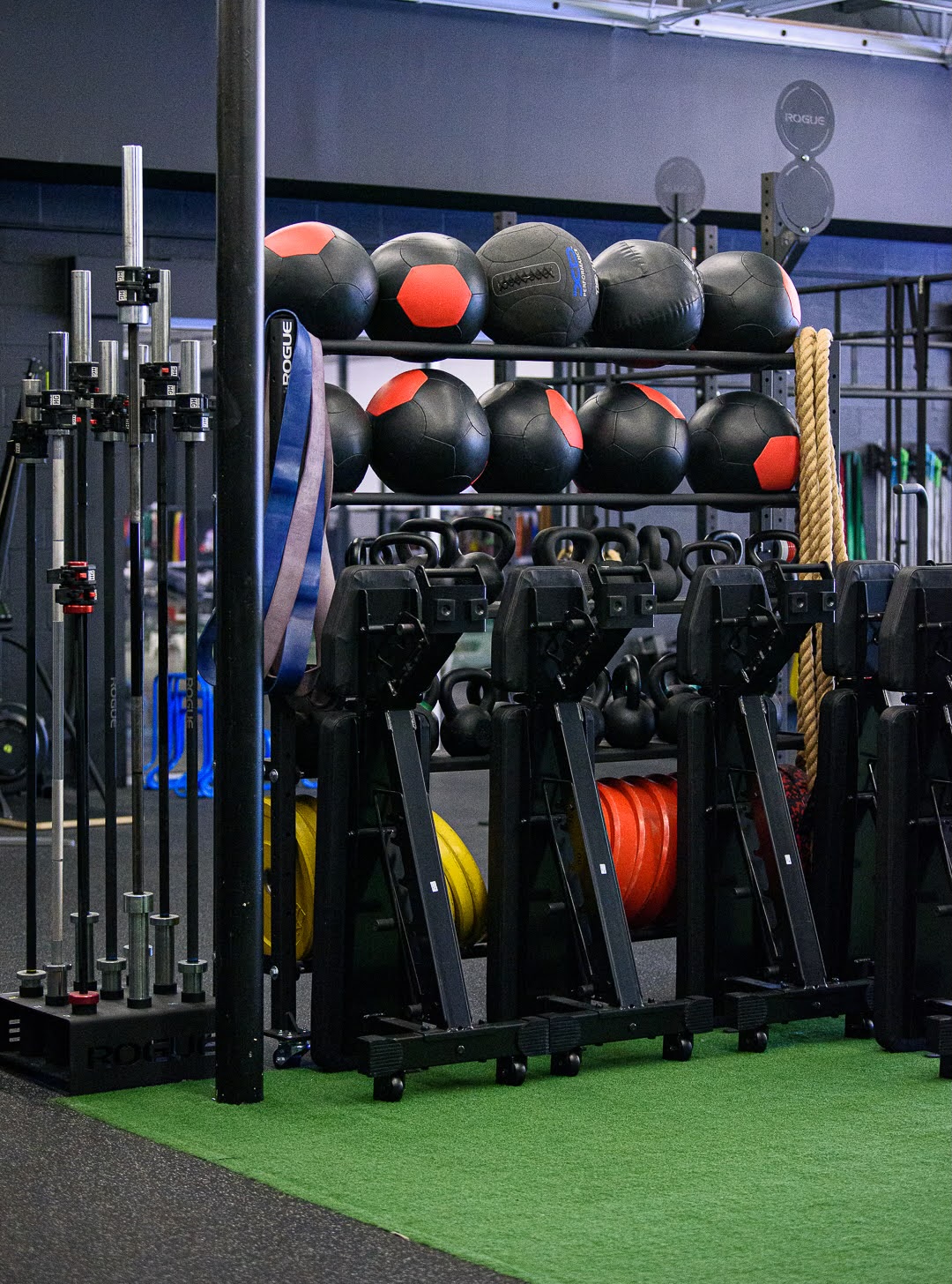 Adults training in a group class